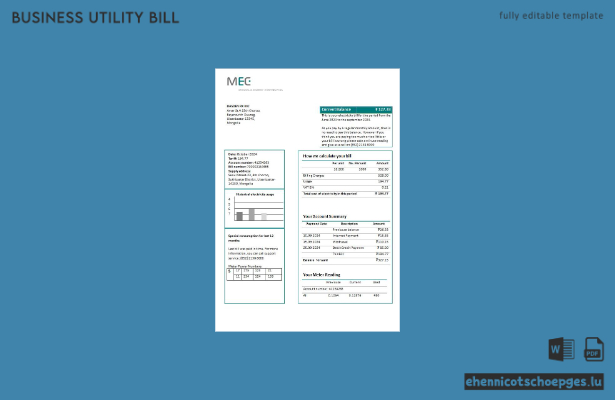 Beispielrechnung der Mongolia Energy Corporation (MEC) für Stromdienstleistungen